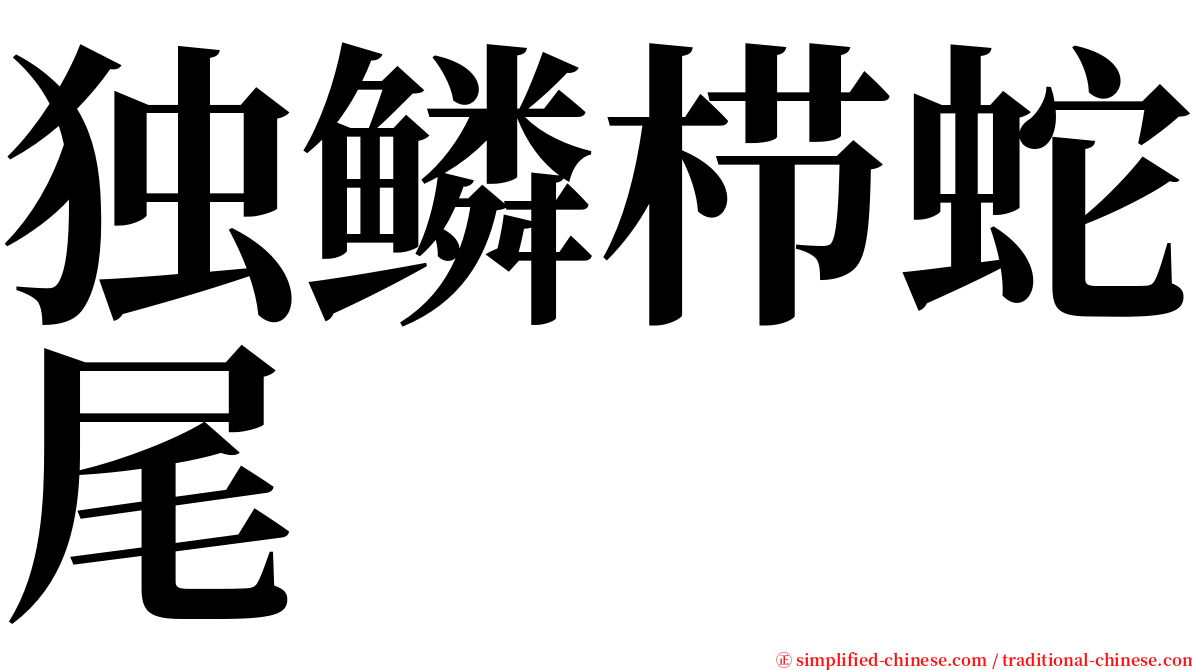 独鳞栉蛇尾 serif font