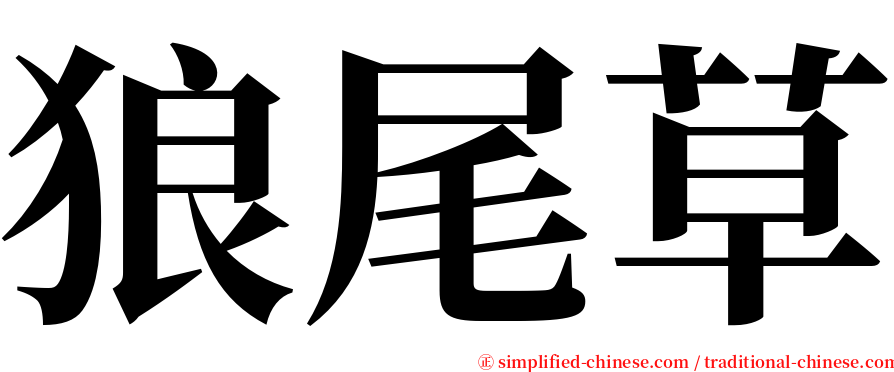 狼尾草 serif font