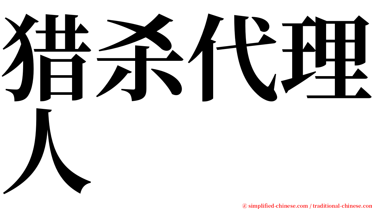 猎杀代理人 serif font