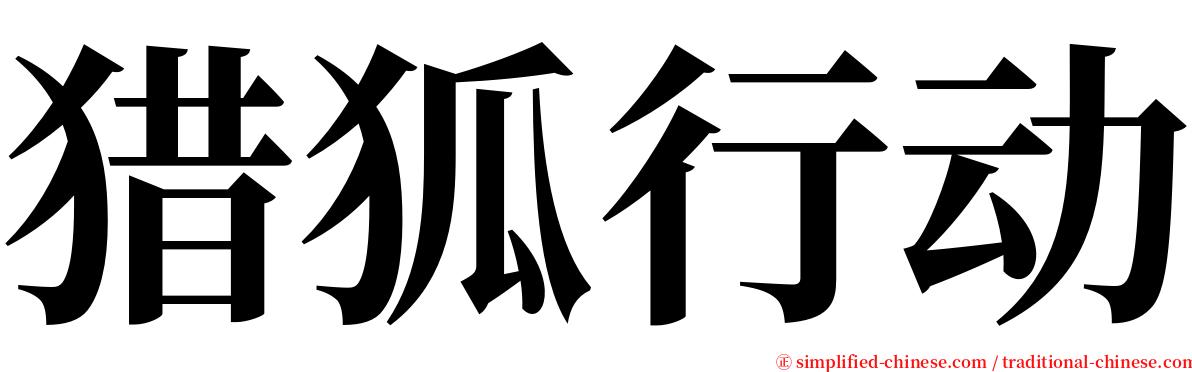 猎狐行动 serif font
