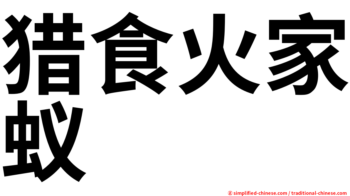 猎食火家蚁