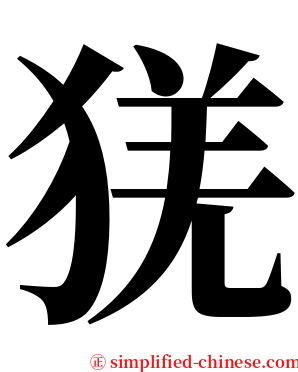 猐 serif font