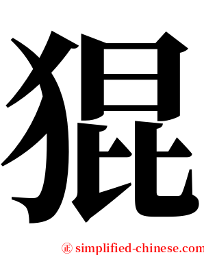 猑 serif font