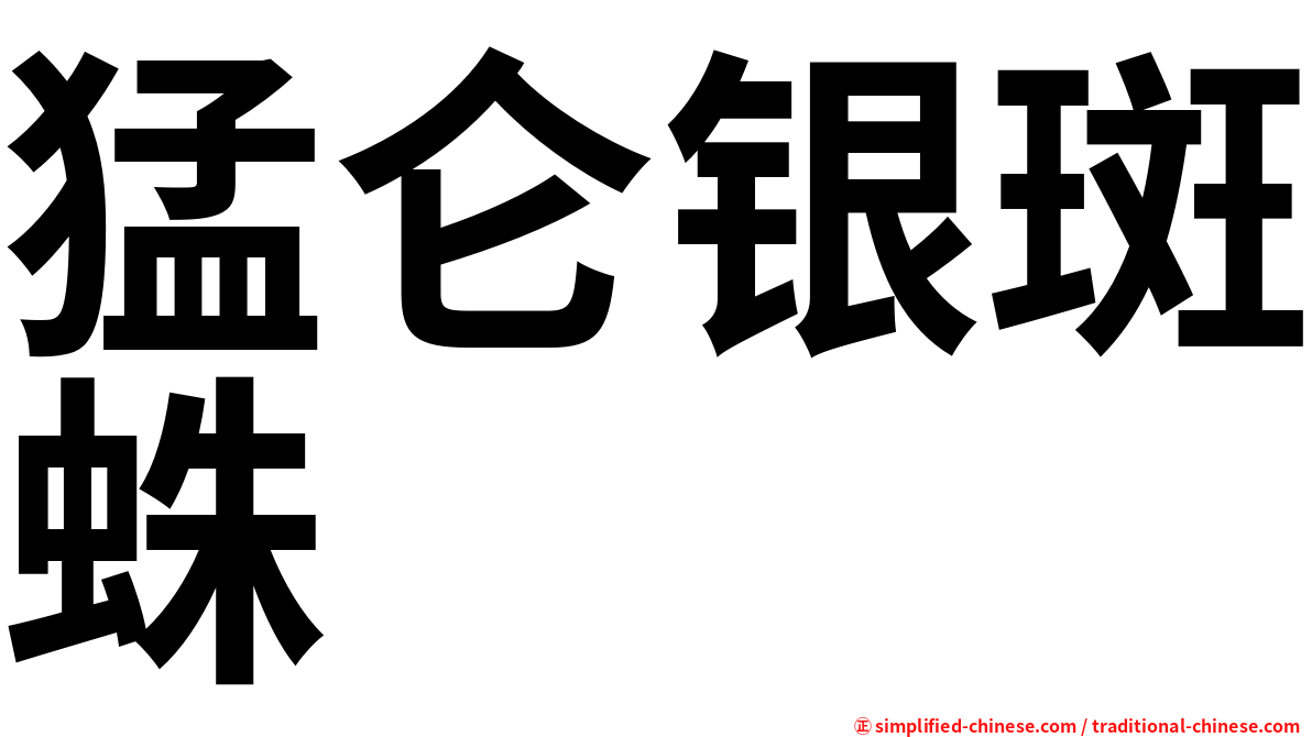 猛仑银斑蛛