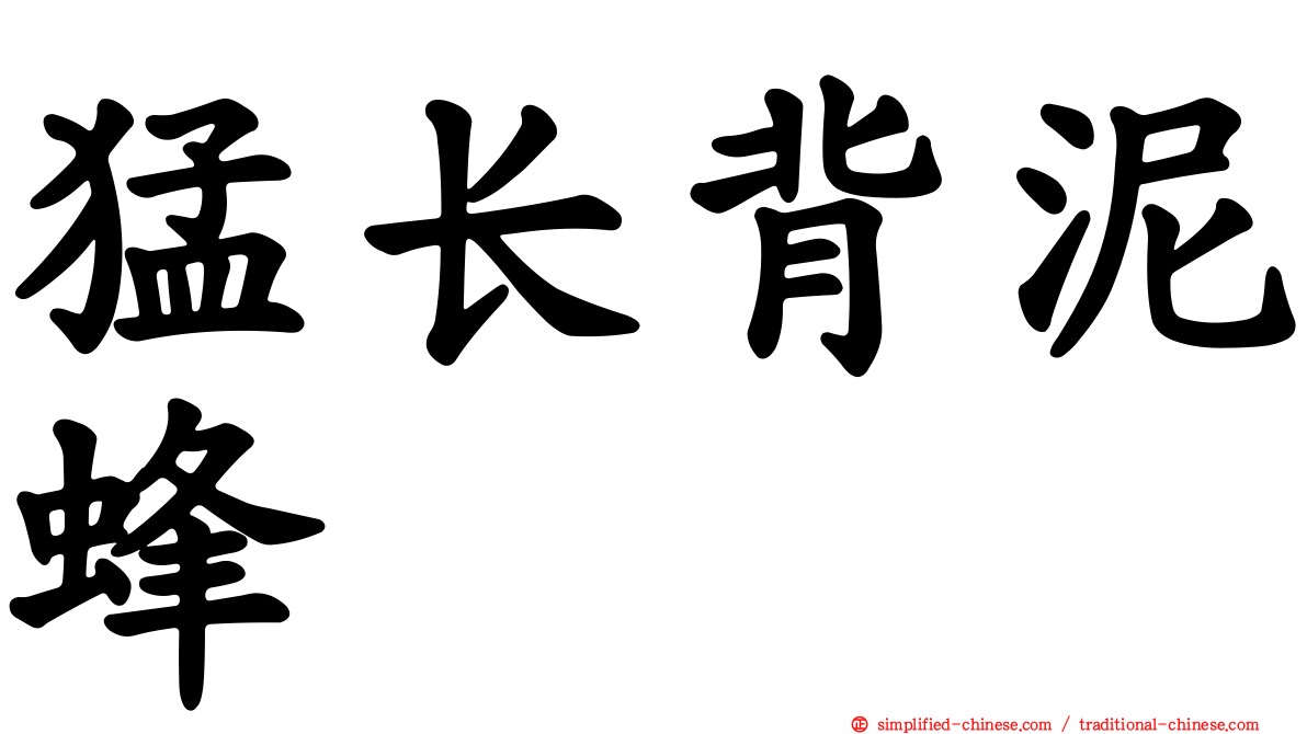 猛长背泥蜂