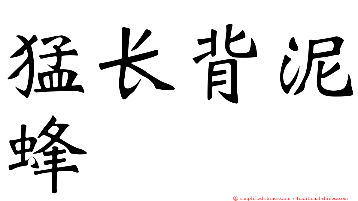 猛长背泥蜂