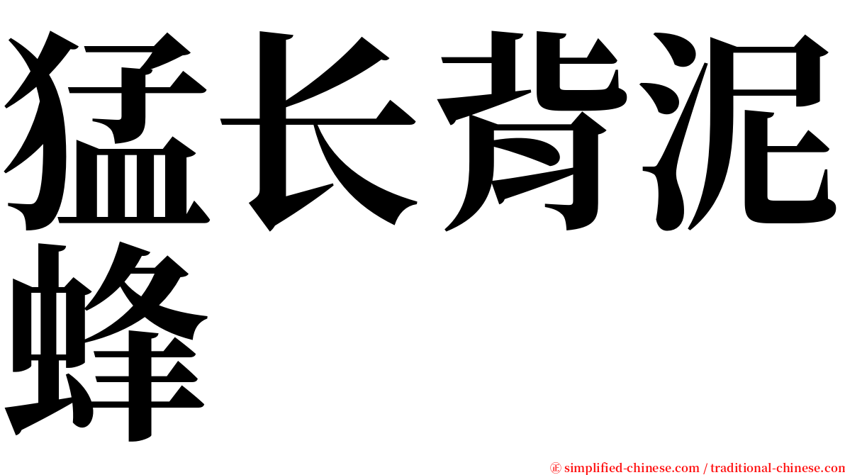 猛长背泥蜂 serif font