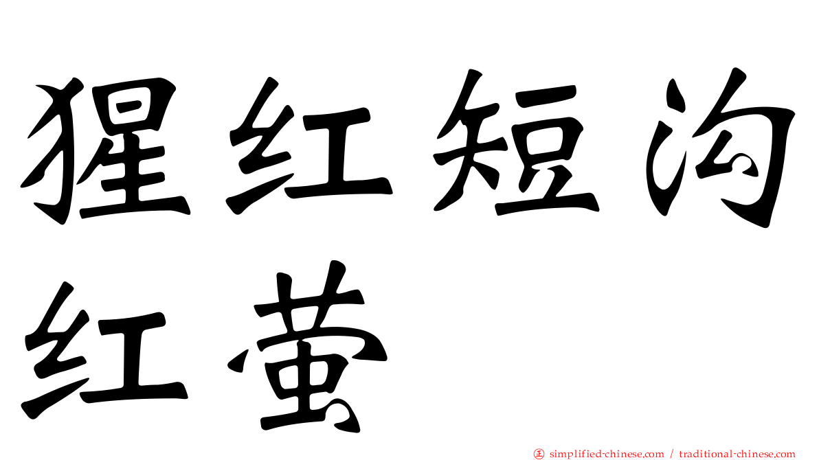 猩红短沟红萤