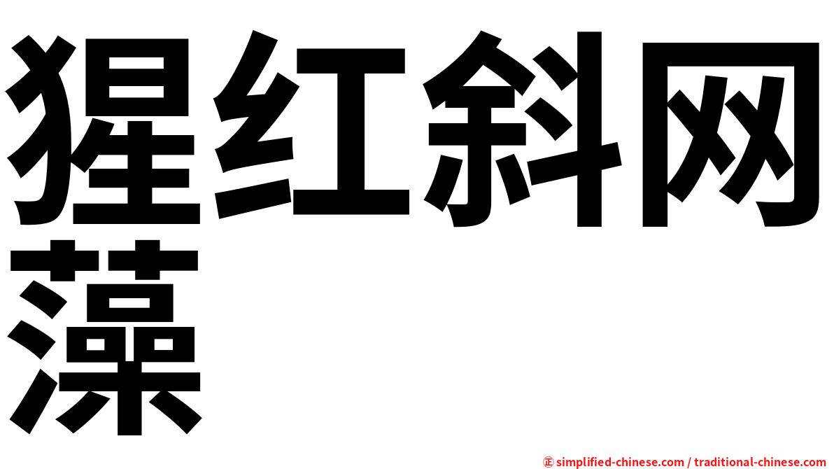 猩红斜网藻