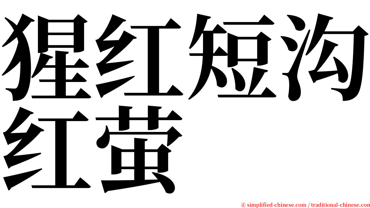 猩红短沟红萤 serif font