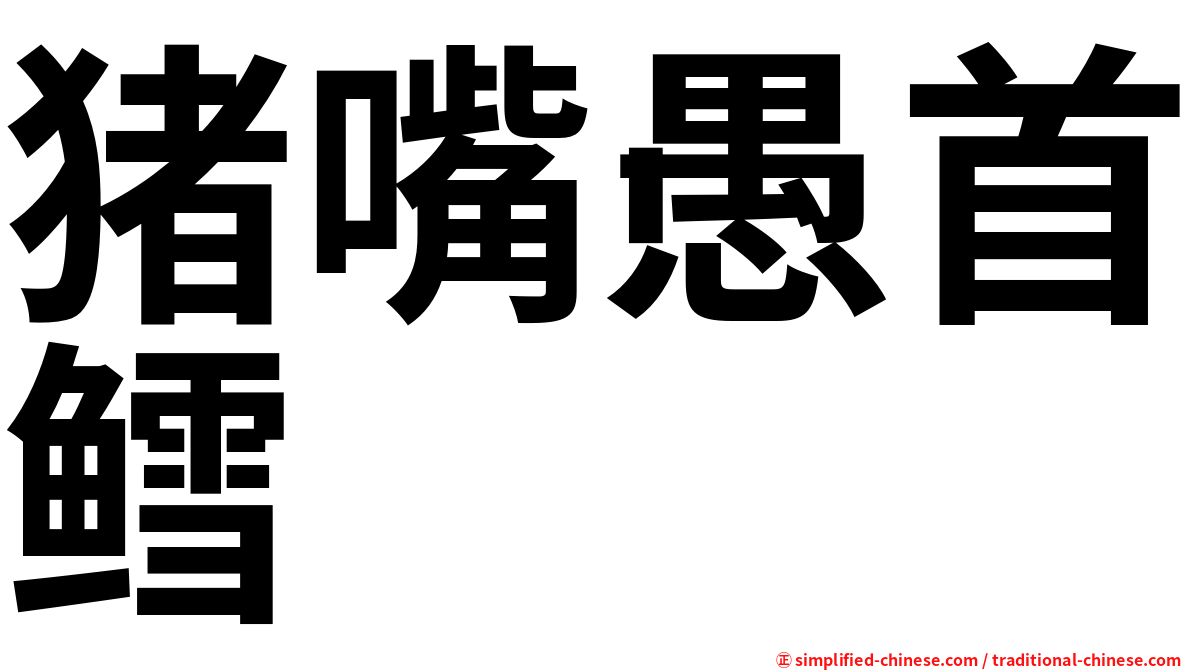 猪嘴愚首鳕