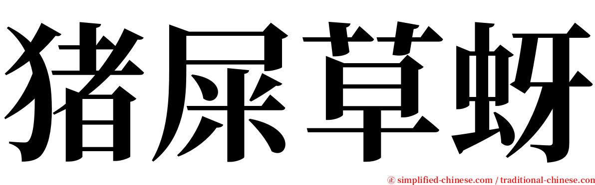 猪屎草蚜 serif font