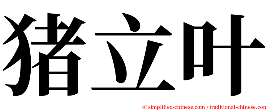 猪立叶 serif font