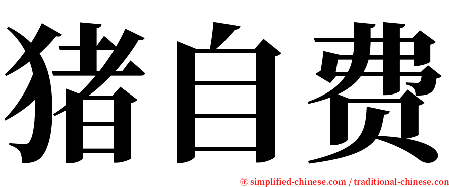 猪自费 serif font