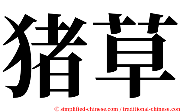 猪草 serif font
