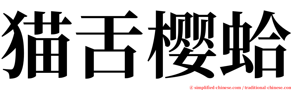 猫舌樱蛤 serif font