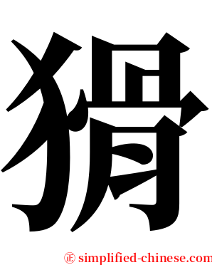 猾 serif font