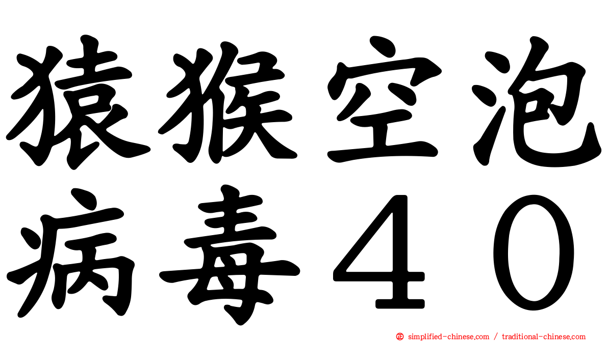 猿猴空泡病毒４０