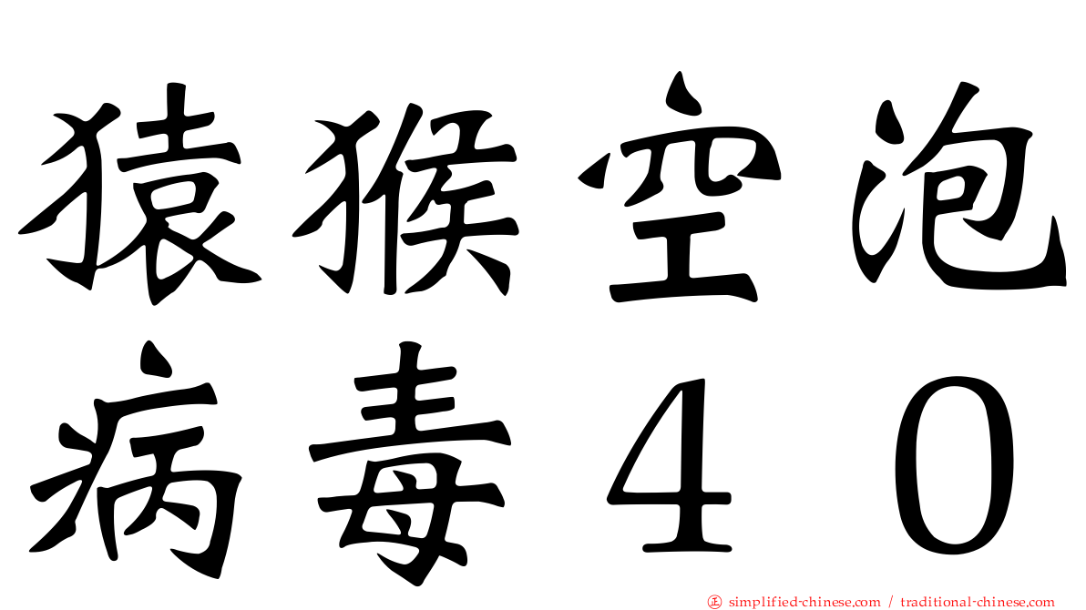 猿猴空泡病毒４０