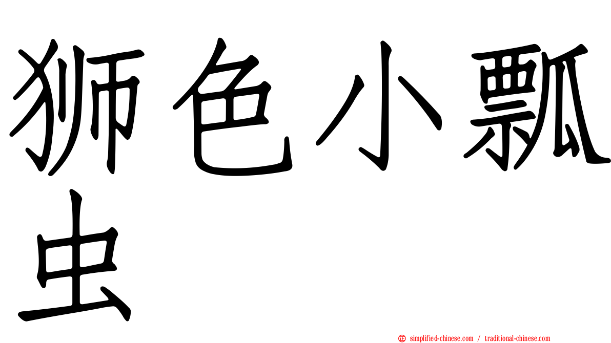 狮色小瓢虫