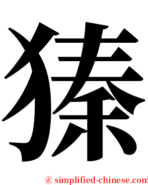 獉 serif font