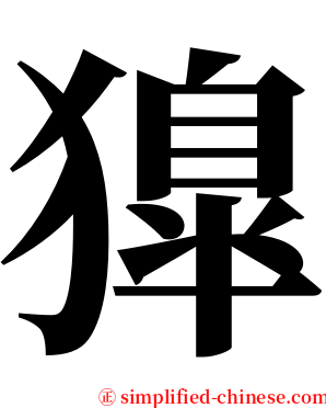 獋 serif font