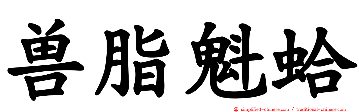 兽脂魁蛤