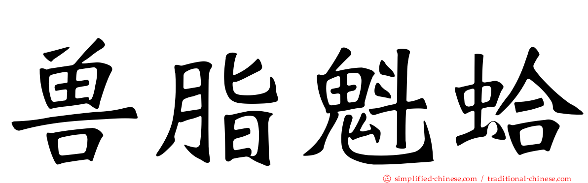 兽脂魁蛤