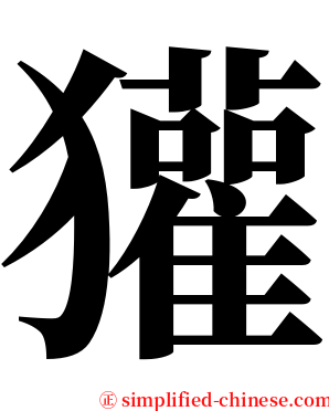 獾 serif font