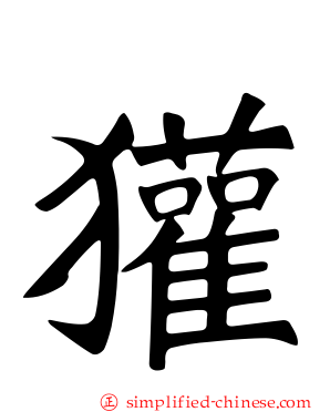 獾