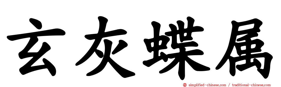 玄灰蝶属