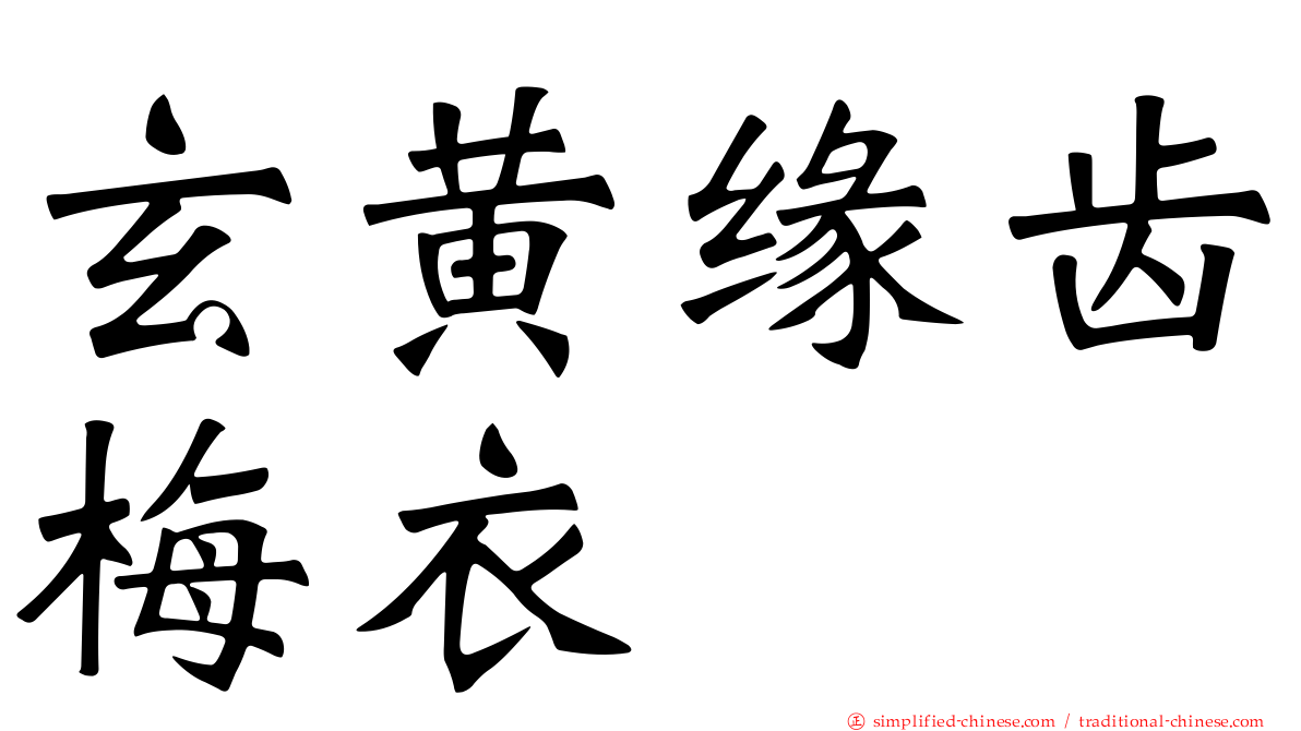玄黄缘齿梅衣