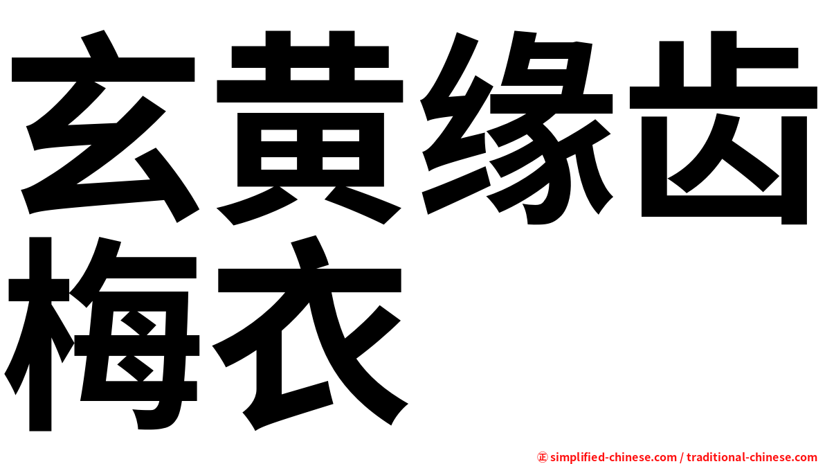 玄黄缘齿梅衣