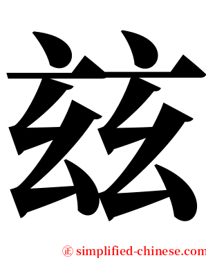 玆 serif font