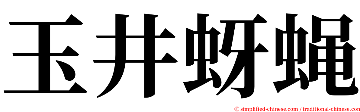 玉井蚜蝇 serif font
