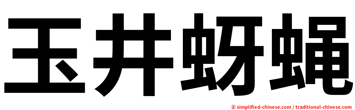 玉井蚜蝇