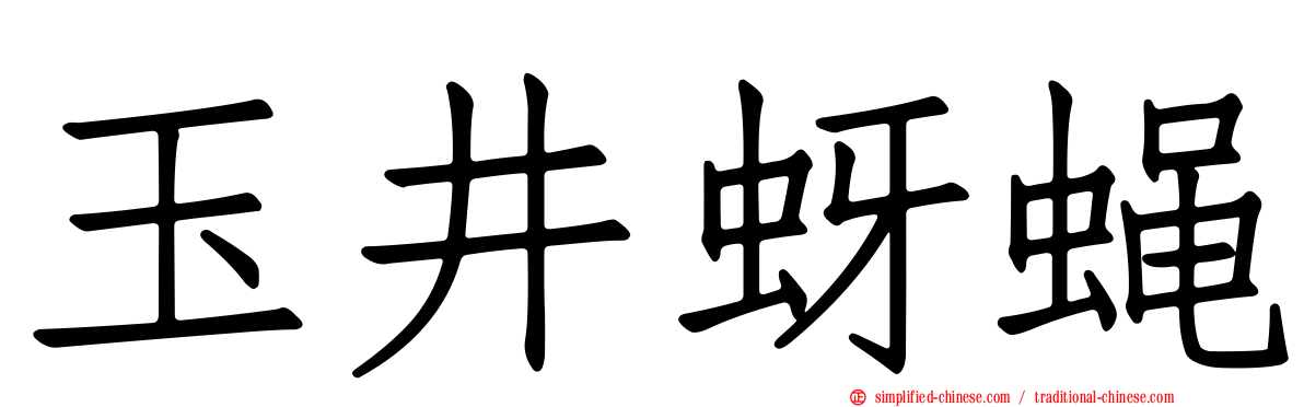 玉井蚜蝇
