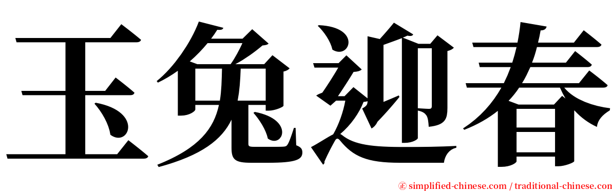 玉兔迎春 serif font