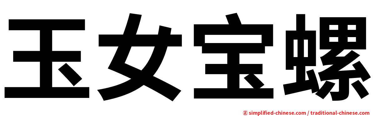 玉女宝螺