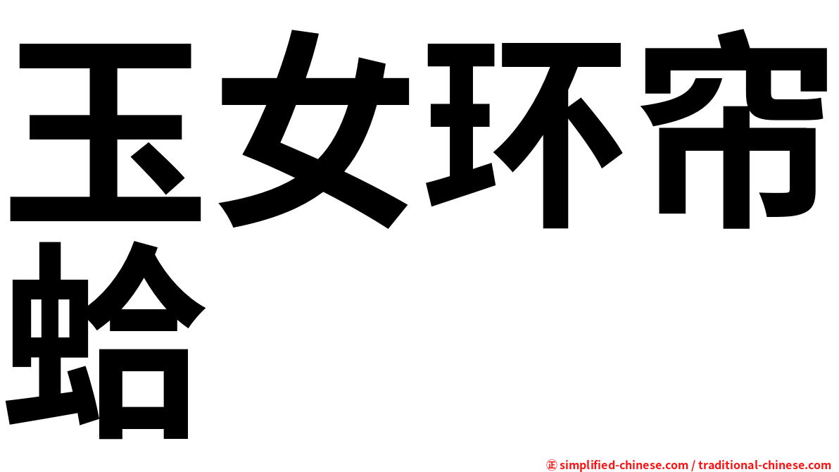 玉女环帘蛤
