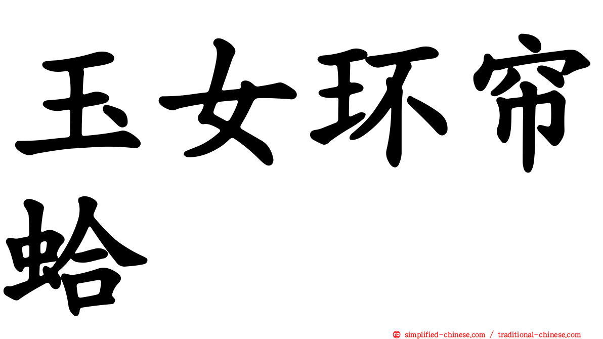 玉女环帘蛤