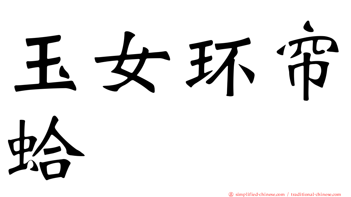 玉女环帘蛤