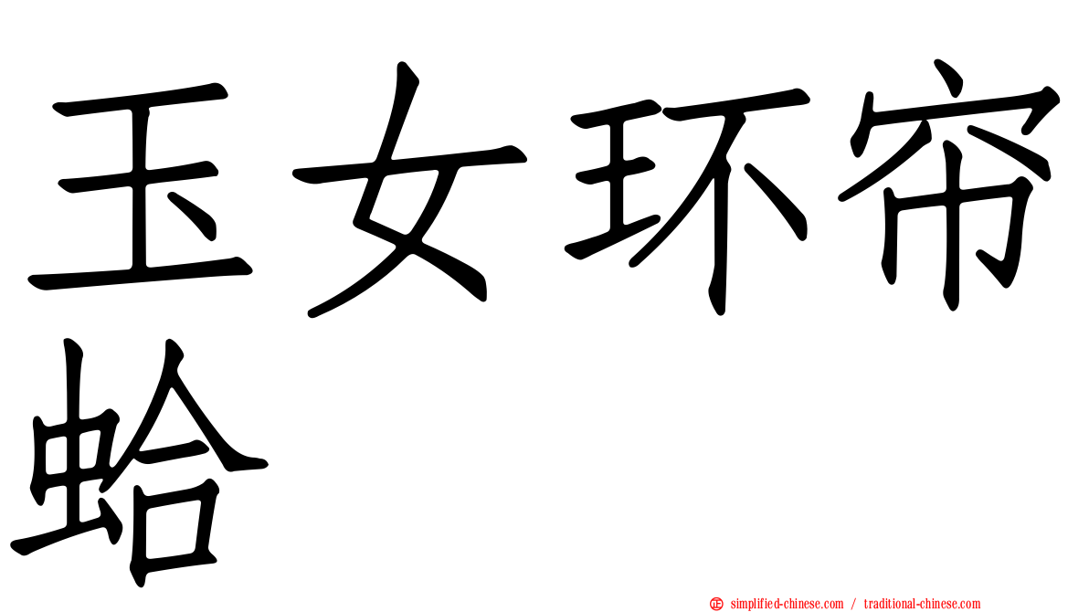 玉女环帘蛤