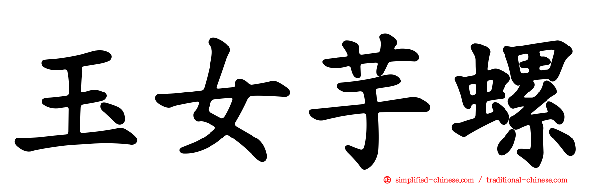 玉女芋螺