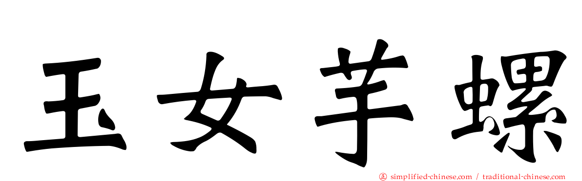 玉女芋螺