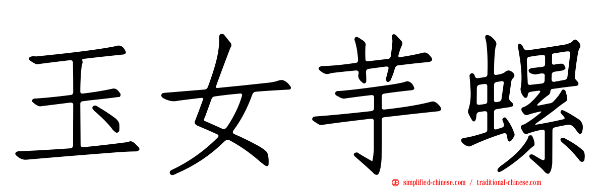 玉女芋螺