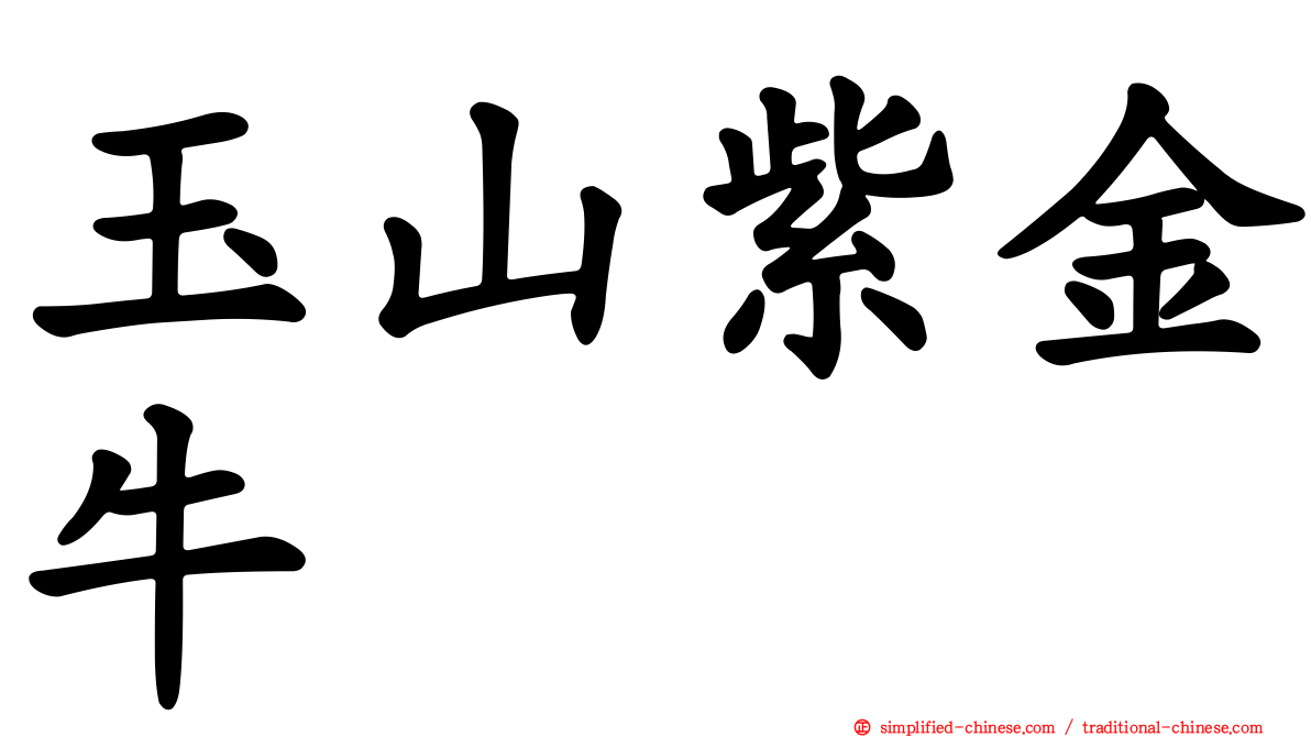 玉山紫金牛