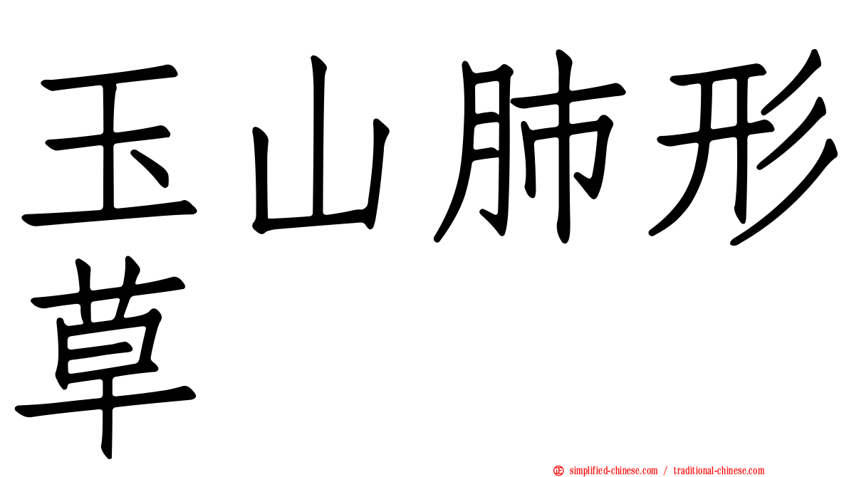 玉山肺形草