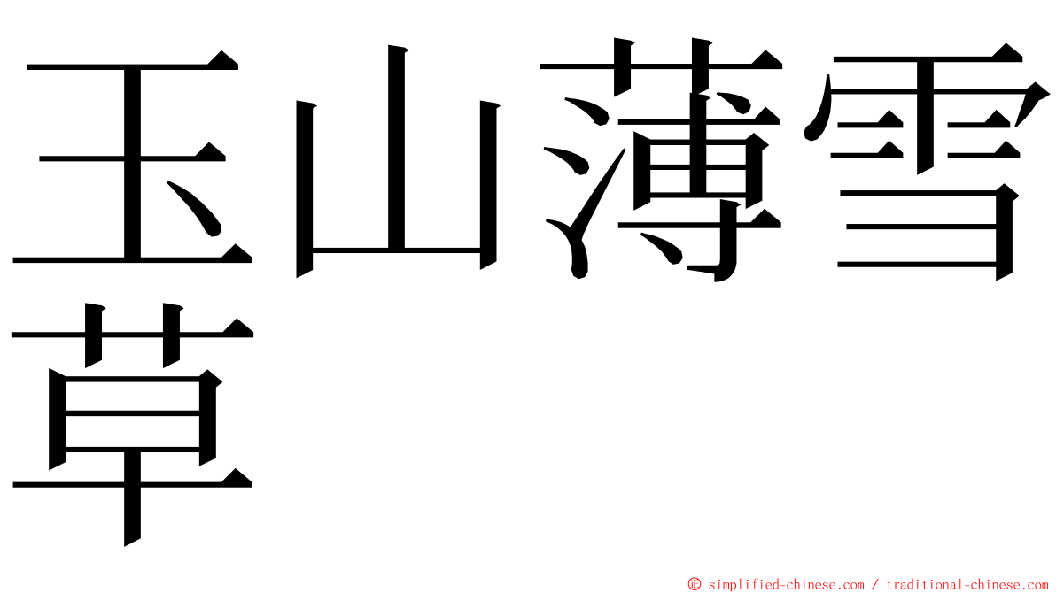 玉山薄雪草 ming font