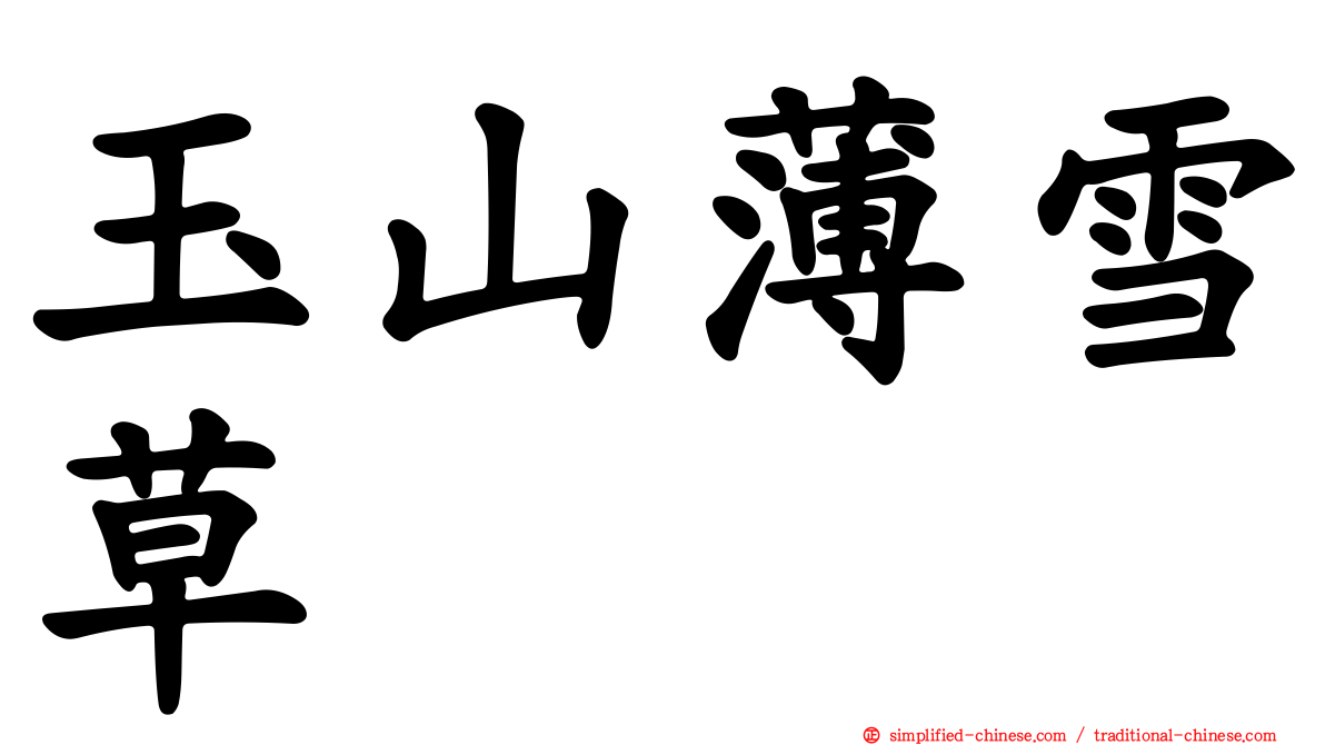 玉山薄雪草